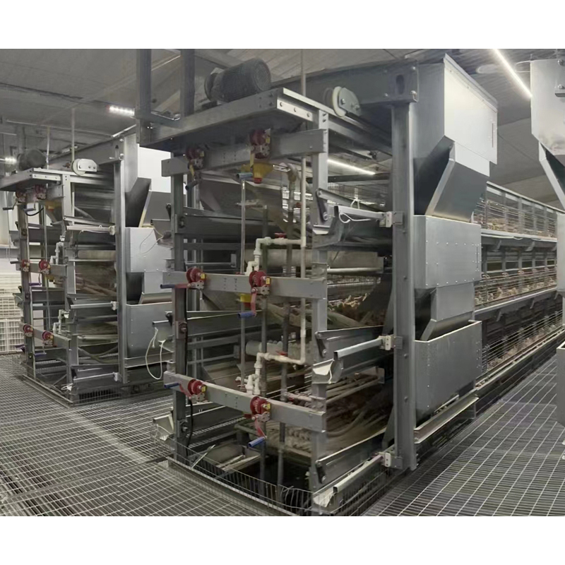 Poultry Farm Automatic Equipment Multi Tiers Pullet Layer Egg Hen Chicken Cage Day Old Baby Chickens Pullet Chicken Cage
